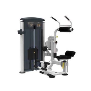 Perform Series, Abdominal / Back Extension