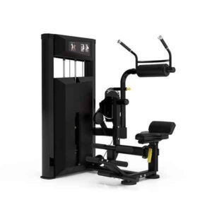 Platinum Series, Abdominal / Back Extension