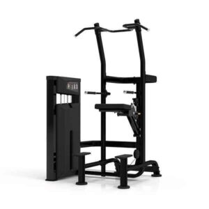 Platinum Series, Assisted Chin / Dip
