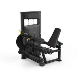Platinum Series, Leg Extension / Curl