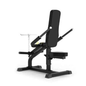 Pro Series Plate Loaded Bicep Triceps