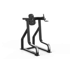 Sterling Series Vertical Knee Raise