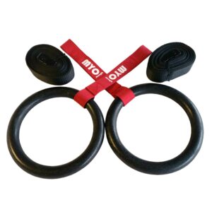 Gym Rings (Plastic)