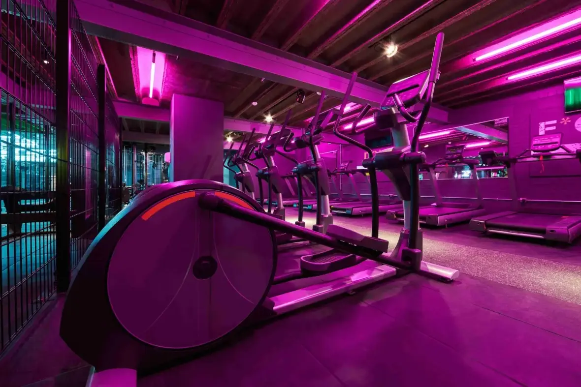 Commercial Gym Design Trends Of 2025 Commercial Gym Design Trends Of 2025