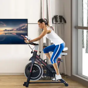 Elite Heavyweight Exercise Home & Office Spin Bike